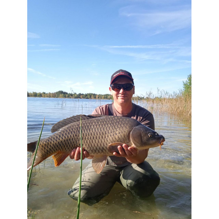Методний  пелетс, метод мікс Bloodworm (Мотиль) Carp Drive 3 в 1
