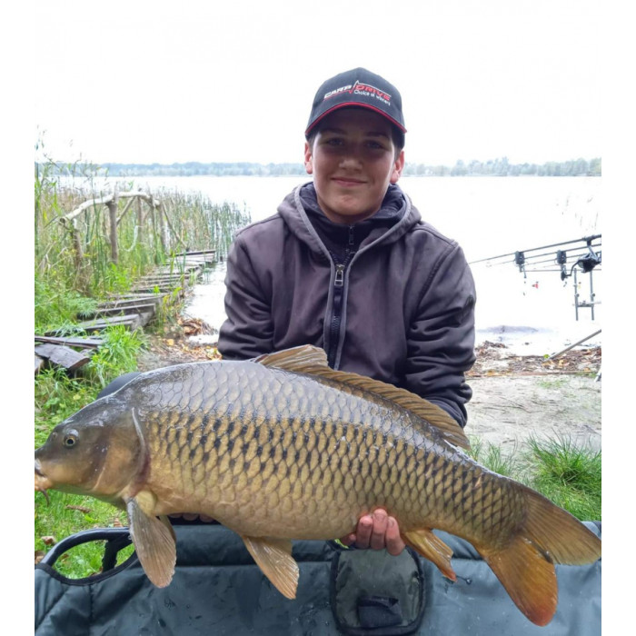 Методний пелетс,  метод мікс Krill (Кріль) Carp Drive 3 в 1
