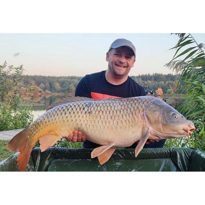 Методний пелетс, метод мікс Strawberry (Полуниця) Carp Drive 3 в 1